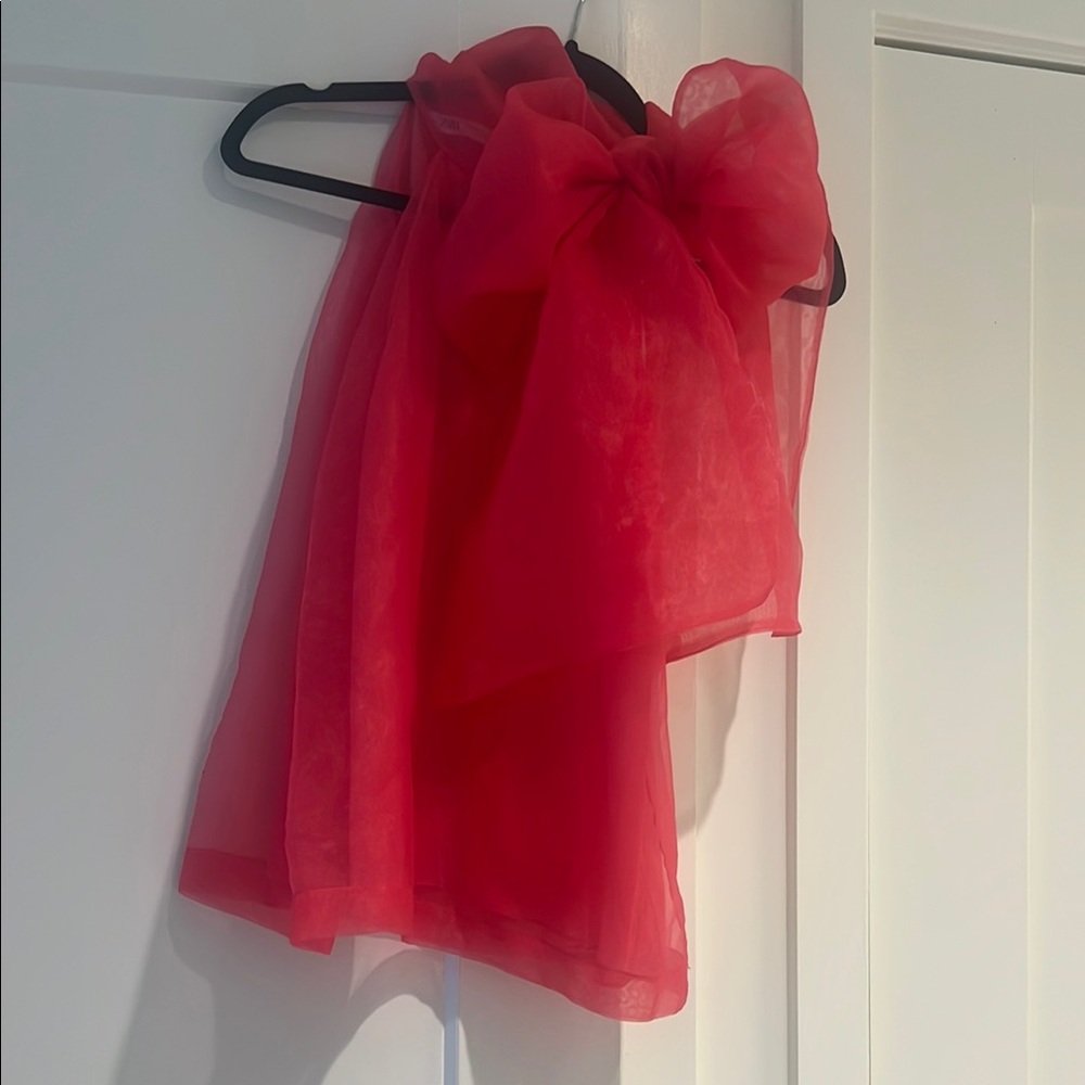 Zara Hot Pink Sheer Blouse with Bow